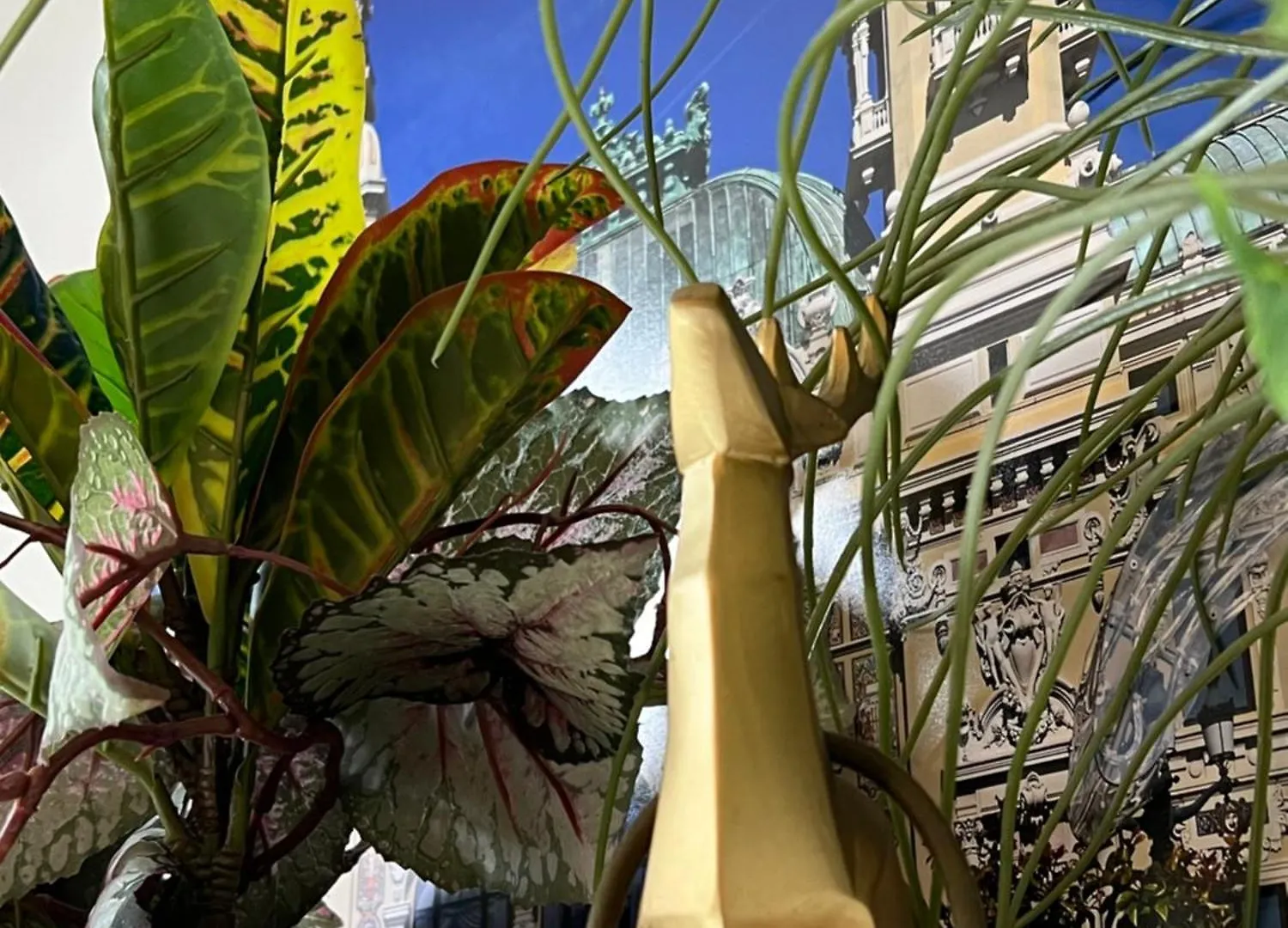 Greg'S House - Enjoy My Dolce Vita Apartment Grimaldi
